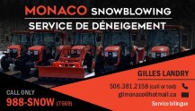 Monaco Snow Removal